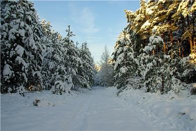 《黑神话：悟空》全新视频发布 明天将公布新内容